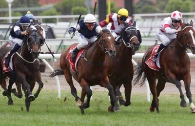 În Australia, un parior a cîştigat la hipodrom pe o cotă incredibilă: 969.406!