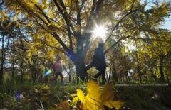 VREME FRUMOASĂ în weekend. Vezi PROGNOZA METEO până luni