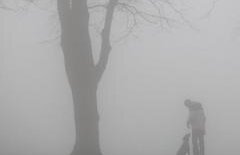 Avertizare Cod Galben de ceaţă, valabilă până la ora 11:00. Vezi zonele vizate