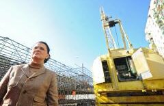 Guvernul depune plângere penală împotriva fostului ministru al Transporturilor Anca Boagiu