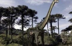 VIDEO. Dinozaurii disparuseră deja când meteoritul a lovit Terra. Cum au disparut de fapt giganţii