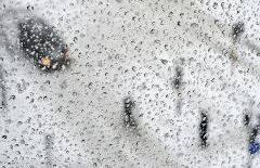 Cod galben de viscol şi ninsori în Moldova şi Oltenia 