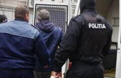 Trei şefi de la IPJ Ilfov, cercetaţi în Consiliul de Disciplină, în dosarul japonezei ucise în Otopeni