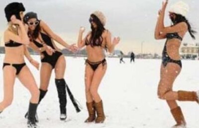 Galerie foto! Ce fac pitzipoancele atunci cand le e cald? Pozeaza in zapada, la minus cinci grade Celsius!
