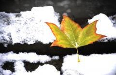 Meteorologii anunţă temperaturi ridicate pentru această dată. Vezi PROGNOZA METEO până sâmbătă