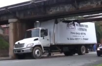 Cele mai tari clipuri de pe internet în 2012