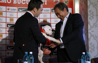 Doar unu mai investeşte » Nicolae Badea e singurul care a băgat bani grei la Dinamo