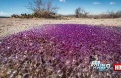 Obiecte MISTERIOASE în mijlocul deşertului. "Se învârt, strălucesc şi nu sunt din lumea asta. Nu am mai văzut niciodată aşa ceva!" (VIDEO)