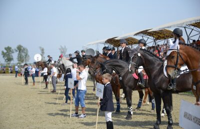 Între 27 şi 30 septembrie, Salonul Calului propune un spectacol grandios la Tîncăbeşti!