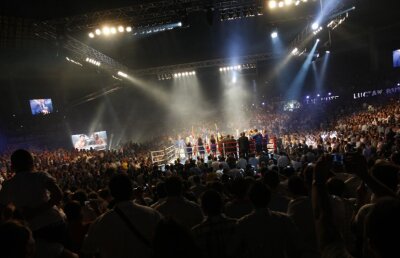 Dosarul Galei Bute » Azi, dezvăluirile continuă la Moise Guran! Udrea a refuzat dezbaterea cu Tolontan