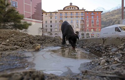 T.R.U. despre Jocurile Olimpice de la Soci: "Un pas trist mai departe"