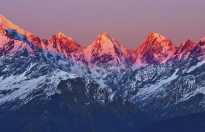 TOLO.ro » ”Axa lupului” – o recomandare de duminică