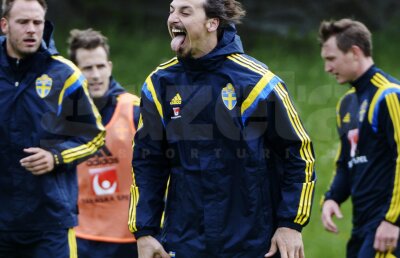 Oana Duşmănescu a interceptat o scrisoare a lui Zlatan Ibrahimovici: "Dragă World Cup 2014, ..."