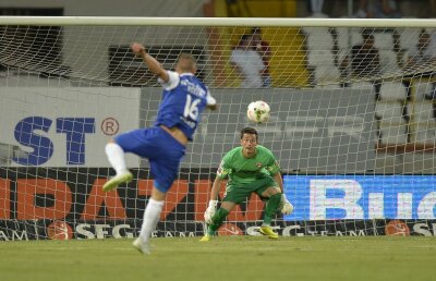 Cine apără poarta cîinilor? » Flavius Stoican nu s-a hotărît încă, dar toate indiciile duc într-o singură direcţie