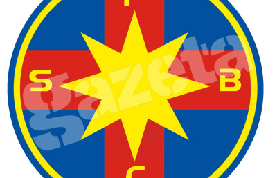 Cer ajutorul lui Victor Ponta! Steliştii apelează la prim-ministru pentru a-şi rezolva problema siglei