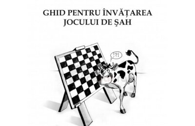 Ce se poate ascunde sub un titlu sobru precum "Ghid pentru învăţarea jocului de şah" » Sportul minţii cu Păcală şi Tîndală