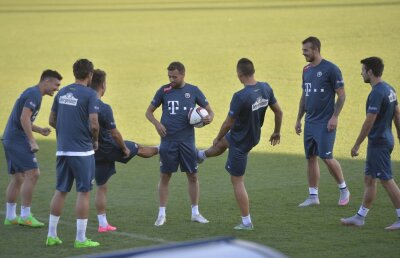 Iordănescu pregătește un joc destinat jucătorilor de viteză. Discuție separată cu Budescu