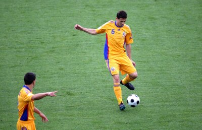 Surpriză! Burleanu este de partea lui Rădoi în conflictul cu Lupescu: "Are perfectă dreptate"