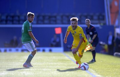 "Cu Franța vom face 0-0" » Dan Petrescu crede că altă națională va pune probleme României la EURO 2016