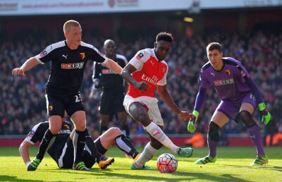 Așa ceva nu se face! Ce a putut să spună antrenorul lui Sunderland despre Pantilimon, deși jucătorul a plecat de 5 luni de la echipă!