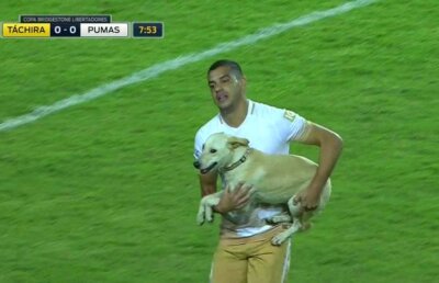 VIDEO Un "intrus" cu patru picioare a invadat terenul la un meci din Cupa Libertadores