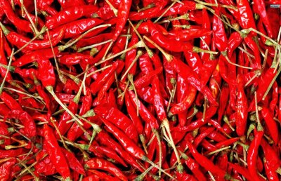 Corespondență din Franța / Tabieturile și superstițiile jucătorilor români la Euro 2016 » Ardeiul lui Chiricheș și ce trebuie să facă un lider cu "picioare de țărănoi, tari ca piatra"