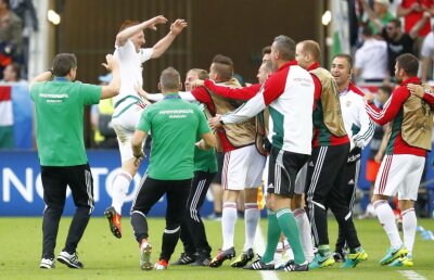 VIDEO+FOTO Surpriză uriaşă în prima etapă din Grupa F de la EURO » Ungaria a trecut clar de Austria, scor 2-0