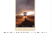 TOP 5 produse ale zilei