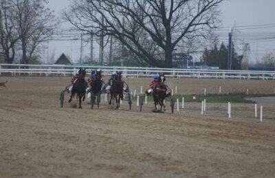 VIDEO+FOTO Imagini de la inaugurarea demonstrativă a hipodromului Ploiești 
