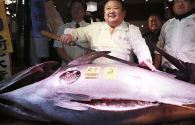 VIDEO » Un ton de peste 212 de kg a fost vândut în Japonia. Prețul a fost fabulos!