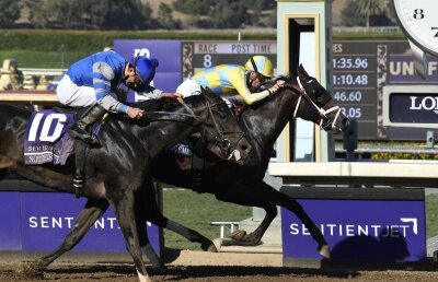 Sistemul norocos » Bilet incredibil câștigat la cursele de cai, a ratat la mustață potul cel mare