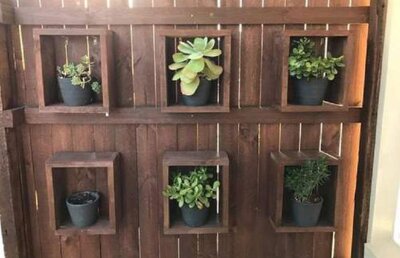 FOTO Enigma care a pus internetul pe jar: în poza asta e un piton de 1,8 metri. Reușești să îl vezi?