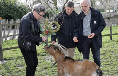 Mascota suferă după iubită » Țapul lui Koln a împlinit 10 ani, dar e în depresie!