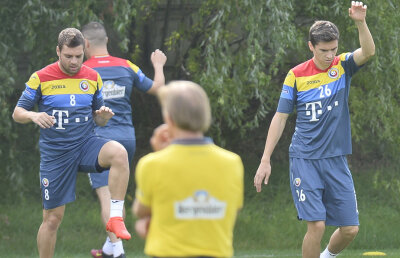 Dilema majoră a lui Daum pentru meciul cu Danemarca: cine va fi al treilea ales din spatele vârfului?