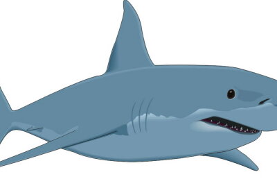 FOTO Această fotografie a stârnit hohote de râs, dar și indignare masivă. Uite cum a putut să se pozeze un bărbat