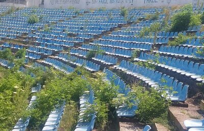 EXCLUSIV FOTO + VIDEO MTS și Consiliul Local se bat pe stadionul "Farul"! Arena a devenit însă focar de infecție: "Avem căpușe și șobolani! Și o livadă prin tribune"