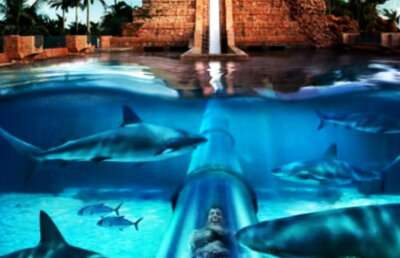 VIDEO Nebunie curată! Astea sunt cele mai periculoase 10 tobogane din lume