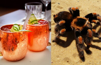 Aragog, cocktailul mexican cu venin de tarantulă
