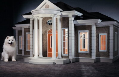 VIDEO & GALERIE FOTO Au apărut cuștile de lux pentru câini. Unele costă 200.000 de euro!