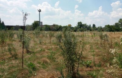 FOTO Imagini din Jurassic: în 2000 era cea mai tare bază a unei echipe de la noi, acum arată înfiorător!