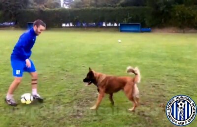 VIDEO Imaginile săptămânii vin de la un club de Liga 1! Mesajul postat pe pagina de Facebook e și el amuzant 