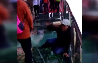 VIDEO Imaginile la care te vei uita cu greu, apoi vei râde copios!