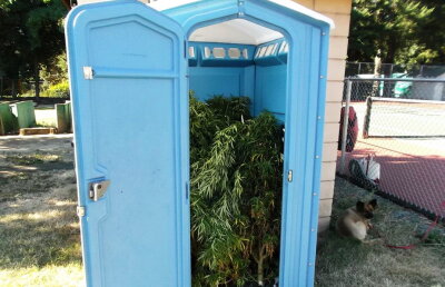 FOTO Descoperire bizară în SUA, într-o toaletă publică