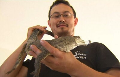 Întâlnire şocantă în plină stradă: un cuplu a găsit un pui de crocodil!