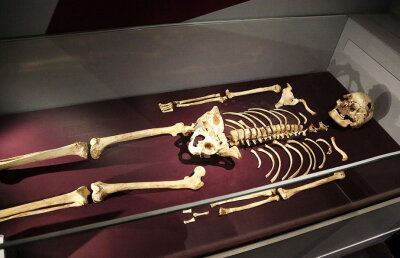 A fost recreată fizionomia primului britanic de pe pământ. Vei rămâne uimit când vei vedea cum arăta!