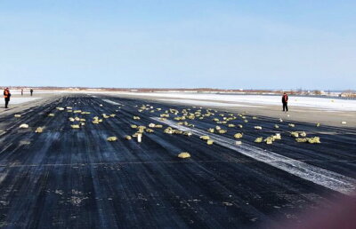 Incredibil, dar adevărat! În Rusia a "plouat" cu aur și diamante