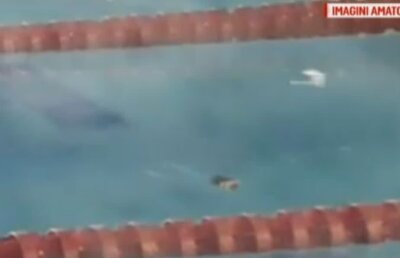 FOTO Imagini îngrozitoare la bazinul olimpic "Lia Manoliu": șobolan pe culoarul 7! 