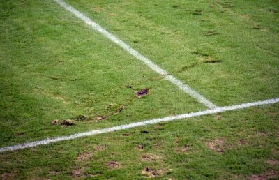 EXCLUSIV Suma impresionantă pe care Craiova ar trebui să o plătească pentru noul gazon » Avem toate detaliile tehnice