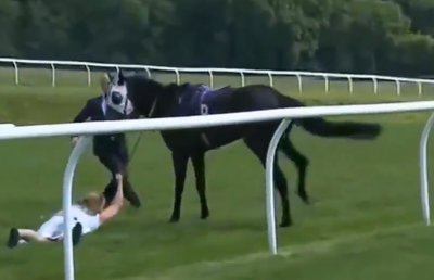 VIDEO Moment dramatic! Ce s-a întâmplat în momentul în care o prezentatoare HOT a fost doborâtă de un cal sălbatic