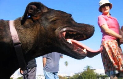 VIDEO Acestea sunt cele mai amuzante fotografii. Vei râde fără oprire!